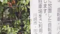 2026年9月25日 (五) 16:04版本的缩略图