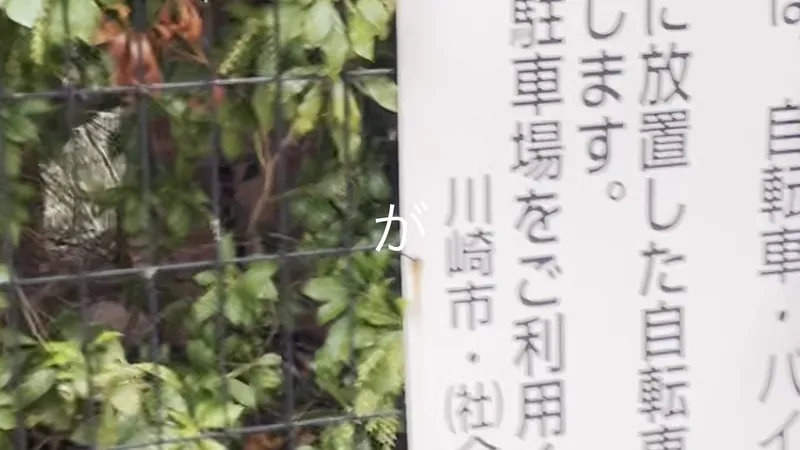 File:勉强模拟.jpg