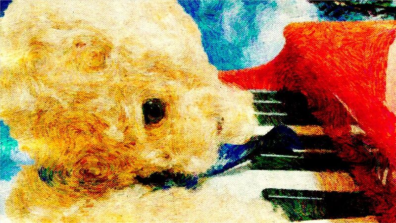 File:常绿树 fuwariP.jpg