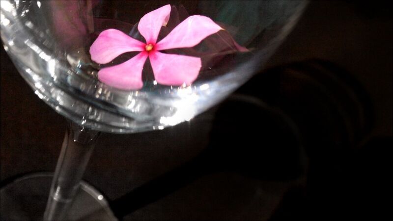 File:Oh my Robin.jpeg