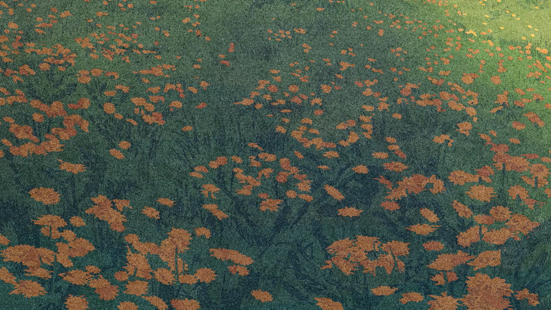 File:向阳处的刹那背景.png