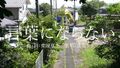 2026年8月26日 (三) 21:52版本的缩略图