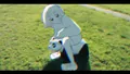 2026年9月13日 (日) 13:56版本的缩略图