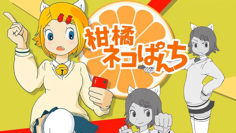 File:柑橘ネコぱんち.jpg