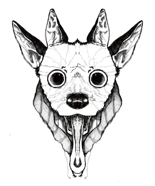 File:虻濑犬.jpg