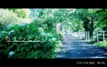 2026年9月17日 (四) 15:50版本的缩略图