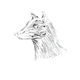 john