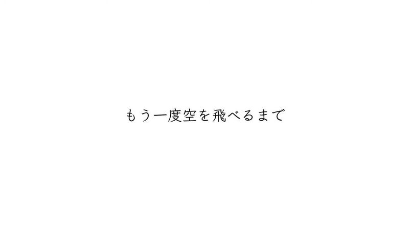 File:もう一度空を飛べるまで.jpg
