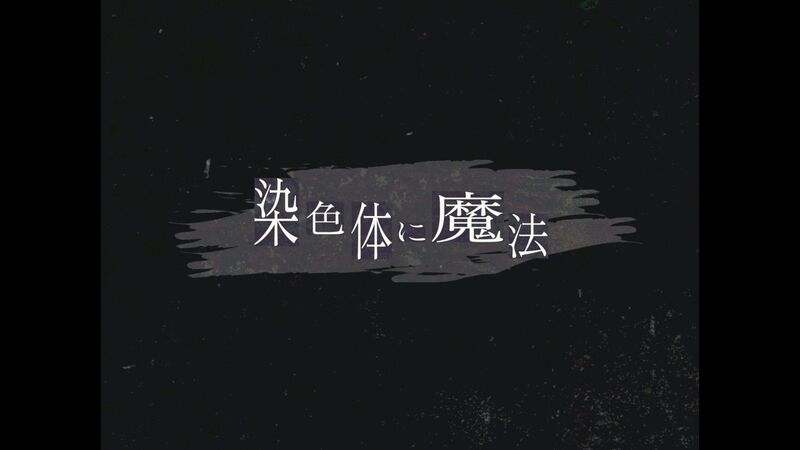 File:染色体的魔法.jpg