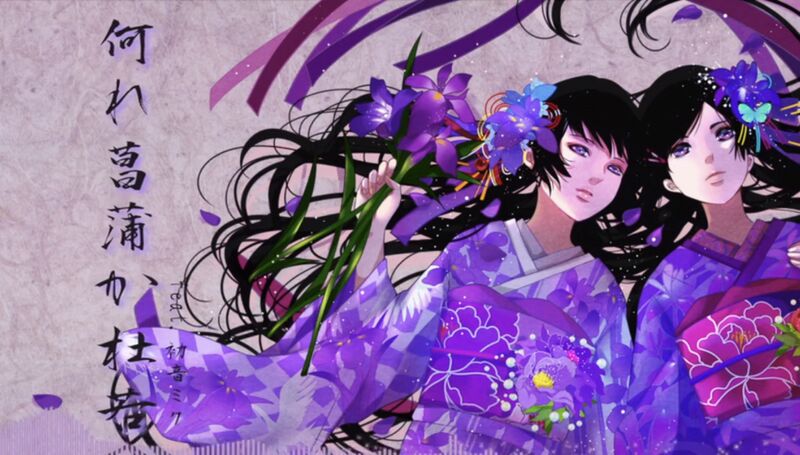 File:Ayame or kakitsubata.jpeg