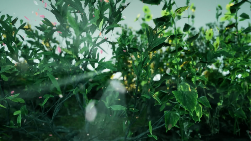 File:DREAM PLACE背景.png