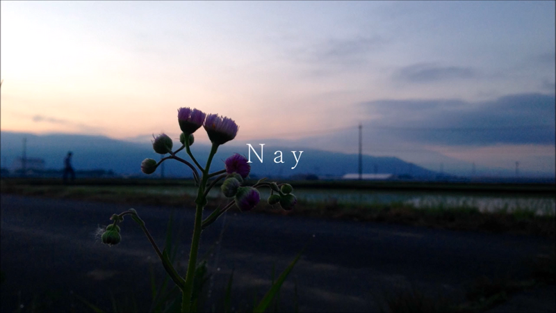 File:Nay.png