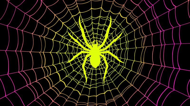 File:キラースパイダーcover.jpg